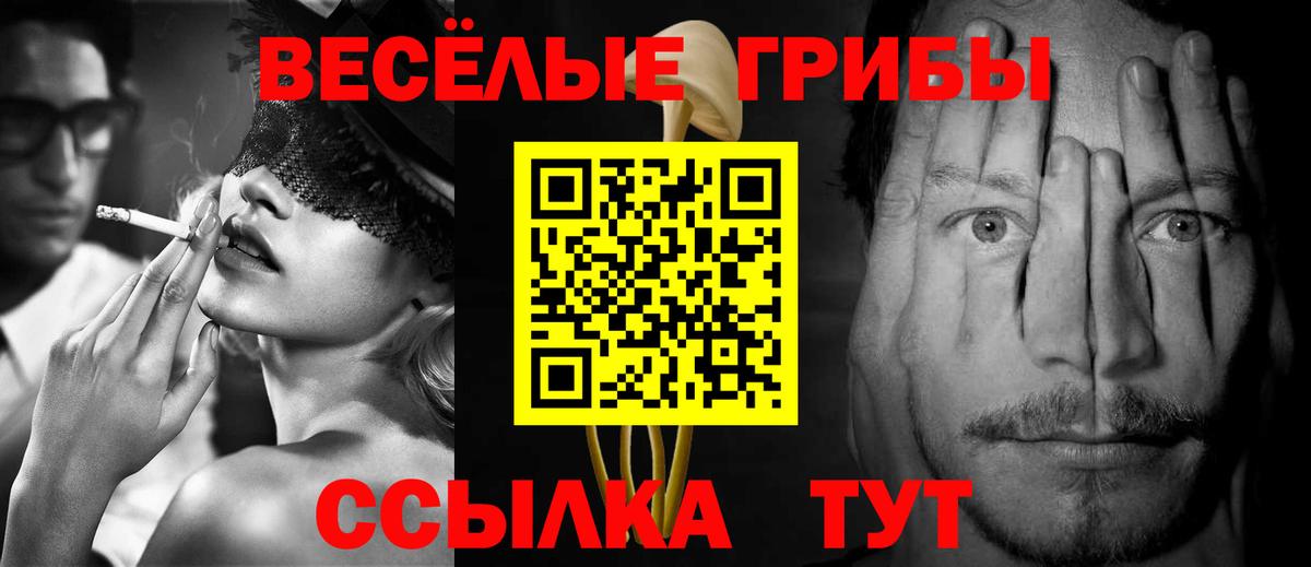 Псилоцибиновые грибы мицелий  цена наркотик  Темрюк  Вход с VPN 