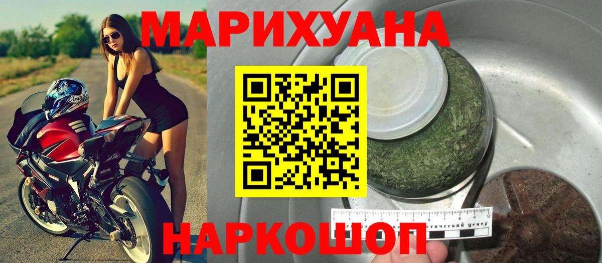 Конопля сатива Темрюк
